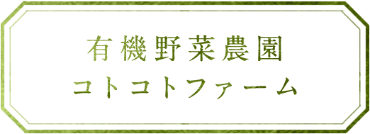 詳細を見る